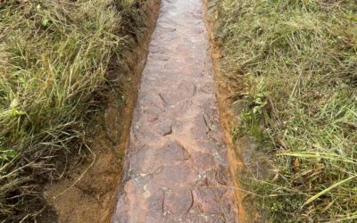 Čištění Moldavského potoka v Krušných horách